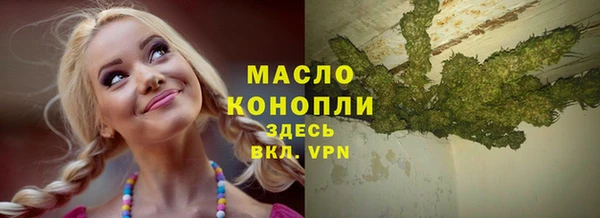 гашик Анжеро-Судженск
