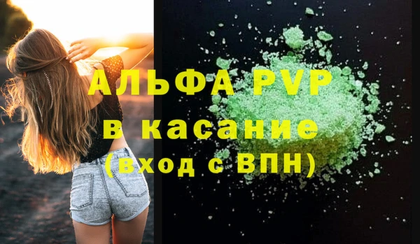 гашик Анжеро-Судженск