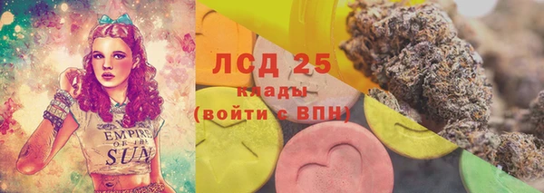 меф Медвежьегорск