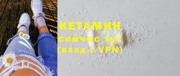 сатива Верея