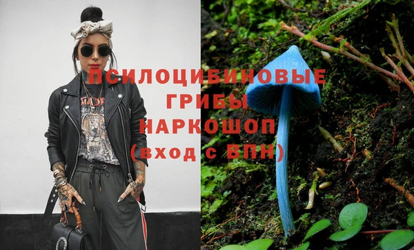 меф Медвежьегорск