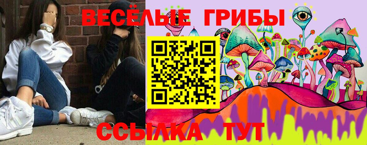 ГАШИШ Донской