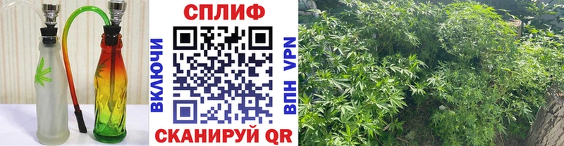 Канабис White Widow  Донской 
